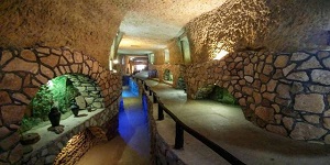 pic (1)