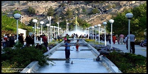 pic (1)