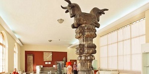 pic (1)