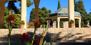 pic (1)