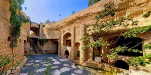 pic (2)