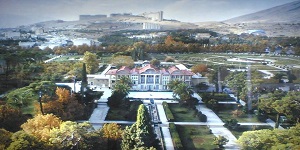 pic (2)