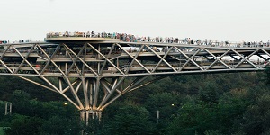 pic (2)