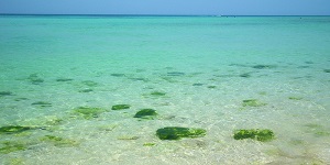 pic (2)