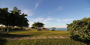 pic (3)