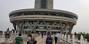 pic (4)