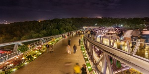 pic (4)