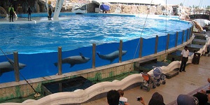 pic (4)