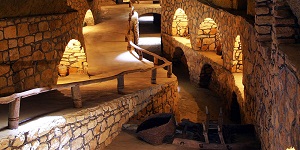 pic (4)