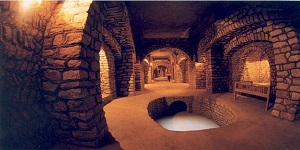 pic (5)