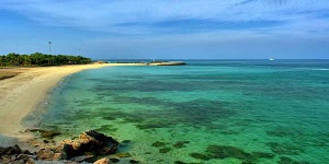 pic (5)
