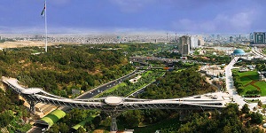 pic (6)