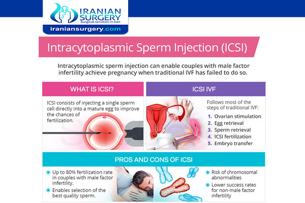 pros and cons of ICSI