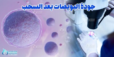 جودة البويضات بعد السحب